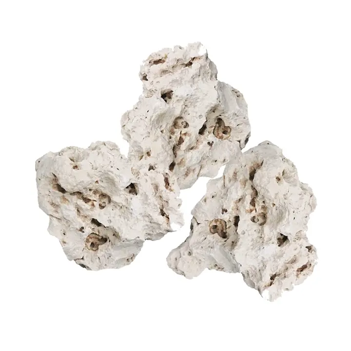 Holey Limestone & White Coral Aquarium Rock for Aquascaping